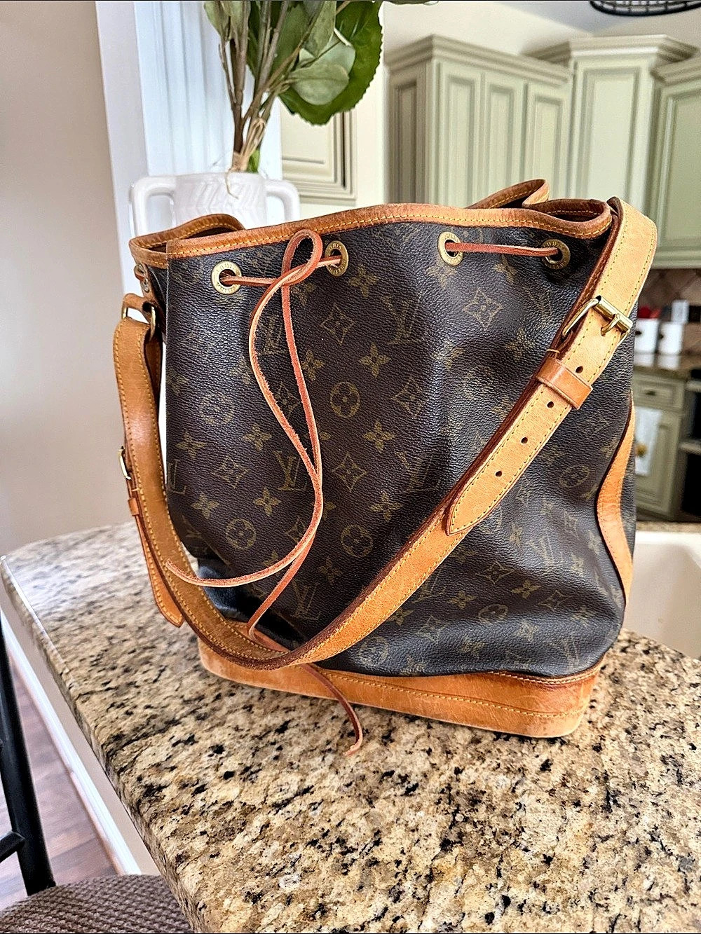 Louis Vuitton Noé GM Bucket Bag Brown & Tan
